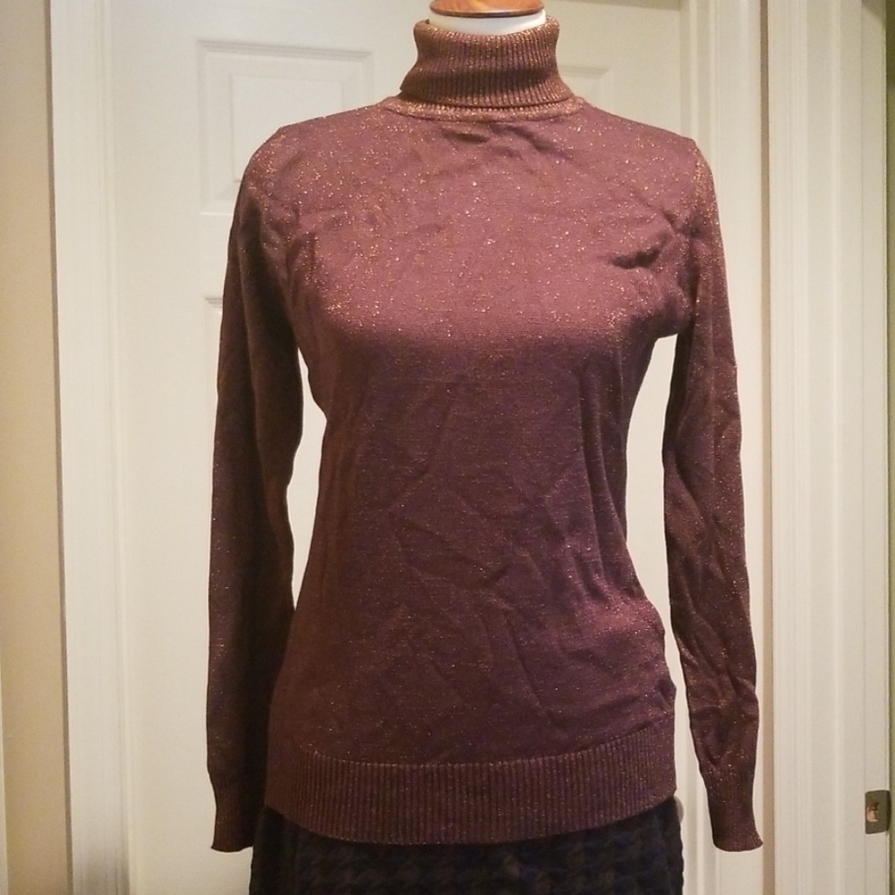 Dressy Turtleneck